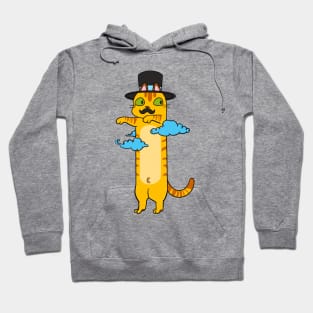 Cute long meme cat in hat Hoodie